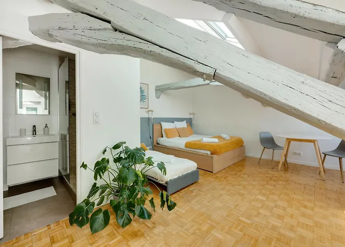 Pet friendly Les Mansardes Du Roi - A Deux Min Du Chateau - Centre Historique Versailles